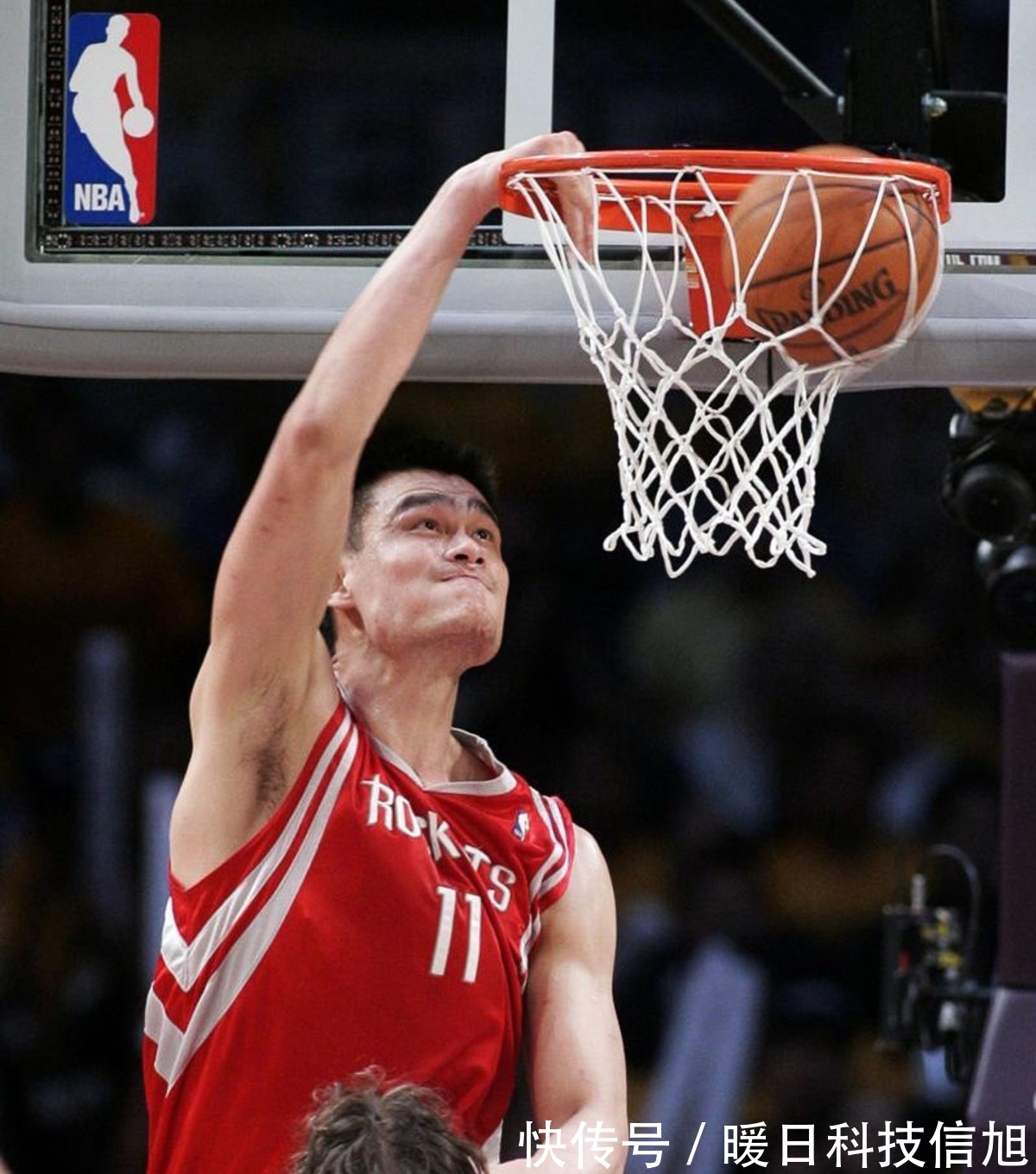 影响油脂吸附脱色的因素