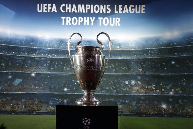 50吨植物油精炼设备