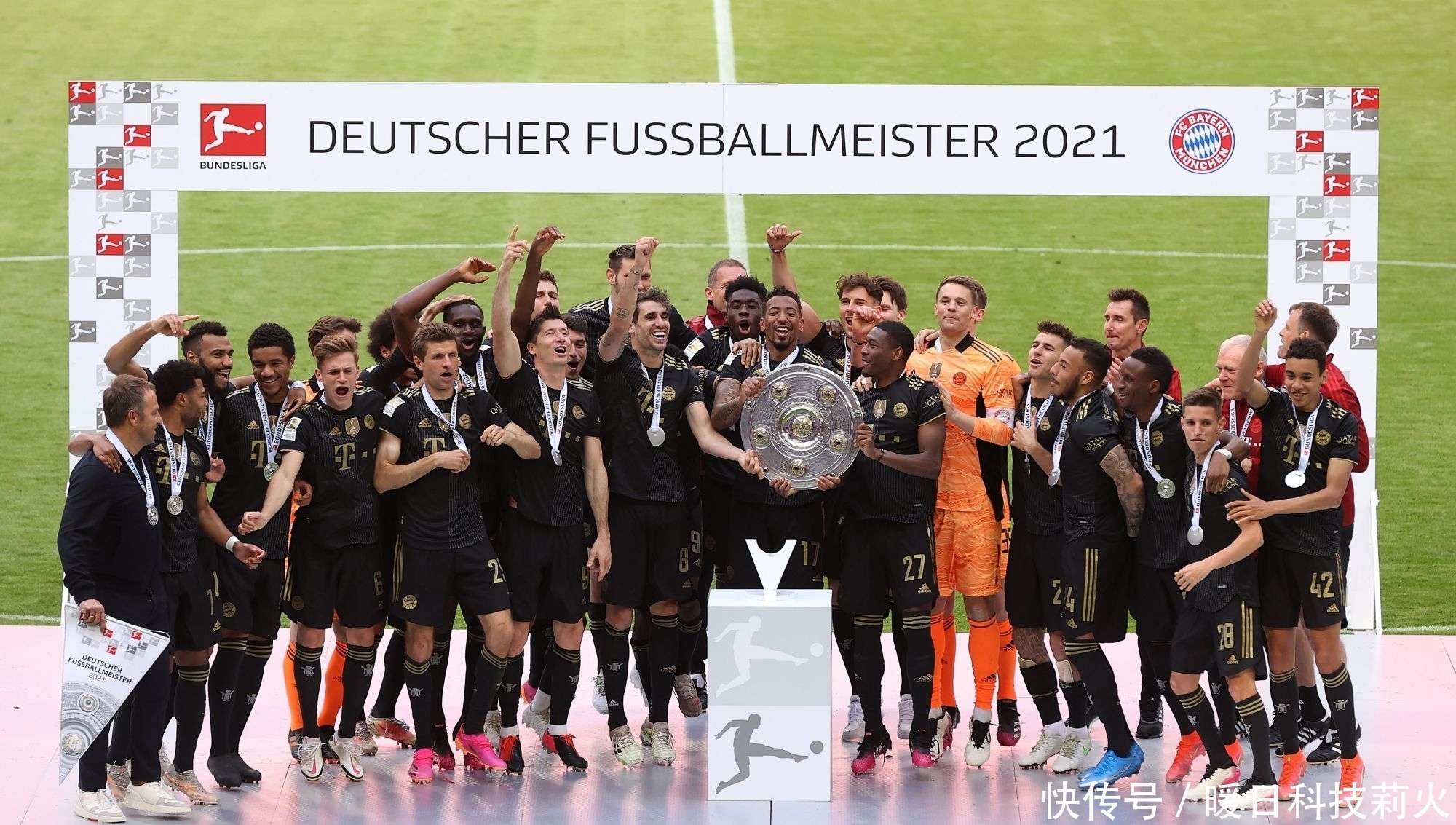 50吨植物油精炼设备