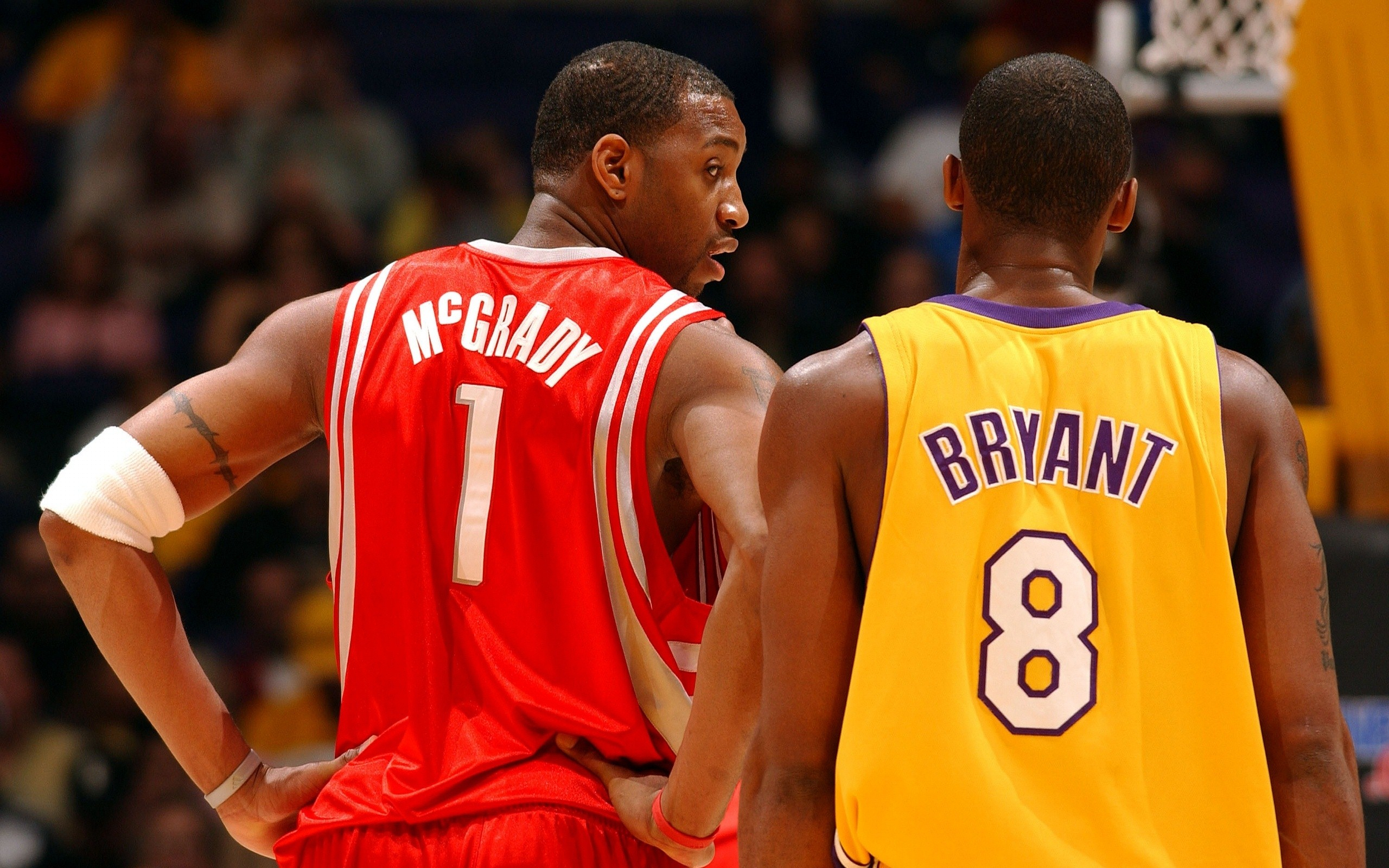 动物油熬炼设备